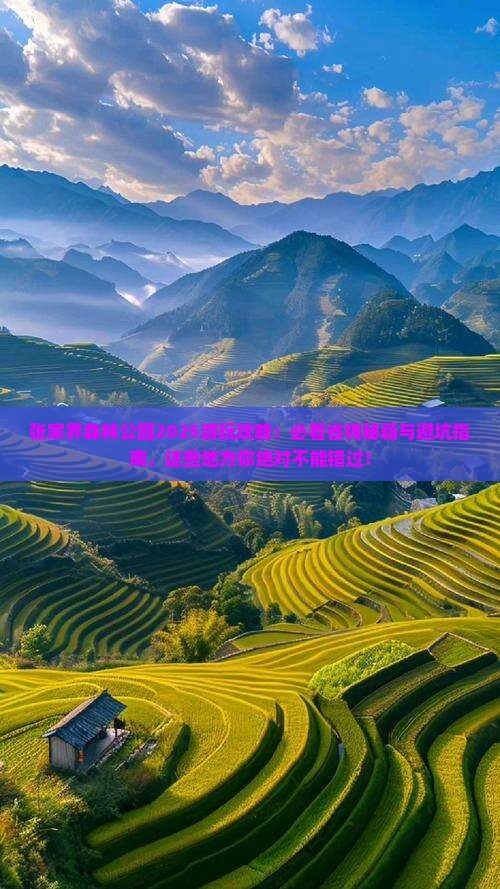 运城去张家界森林公园哪里玩