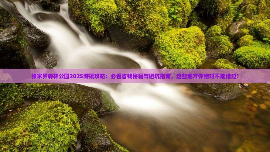 运城去张家界森林公园哪里玩