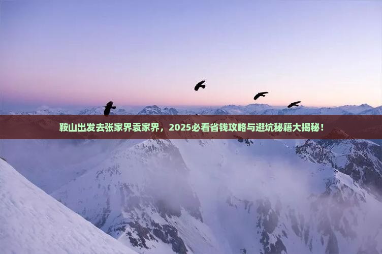 鞍山去张家界袁家界门票
