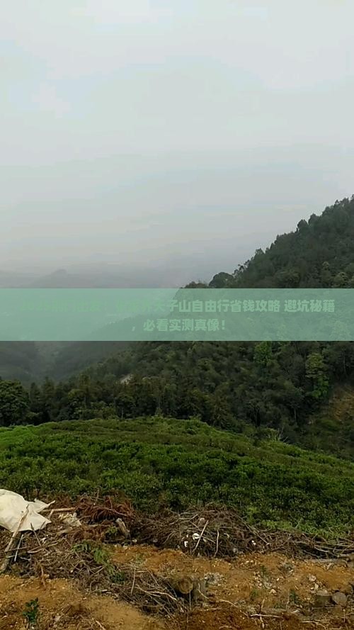 荆门去张家界天子山自由团