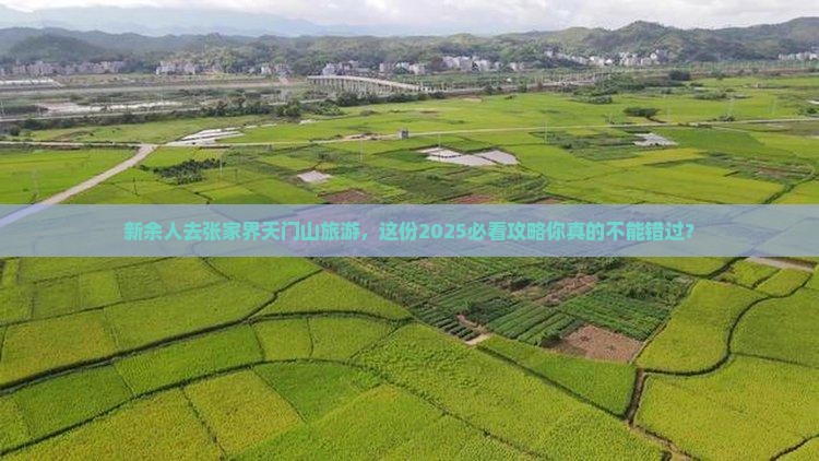 新余去张家界天门山旅游