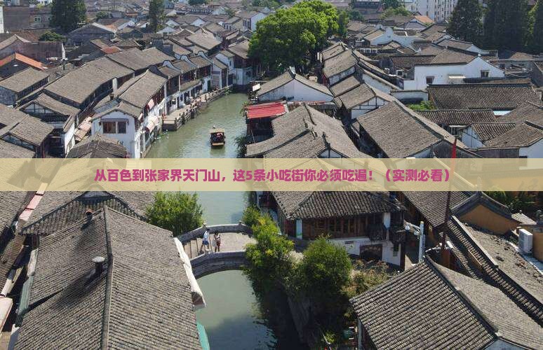 百色到张家界天门山旅游小吃