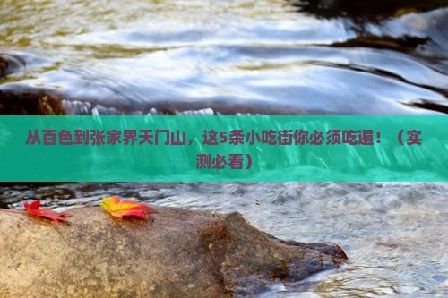 百色到张家界天门山旅游小吃