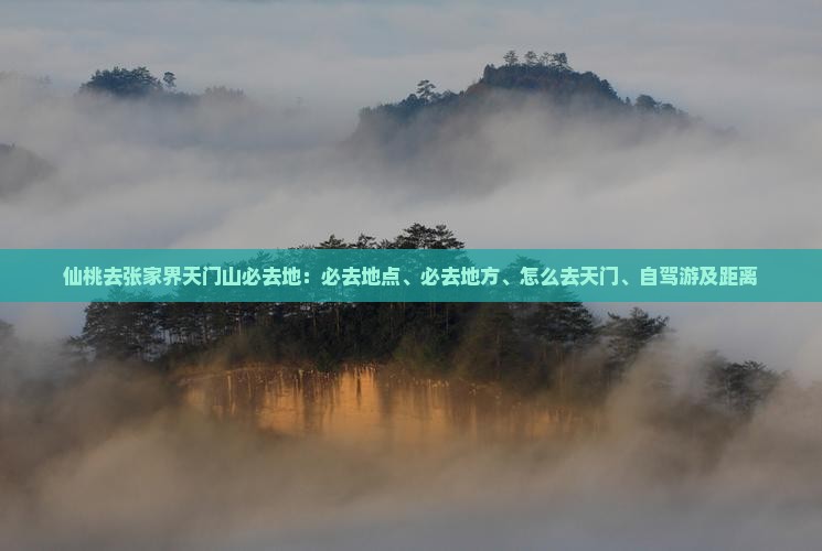 仙桃去张家界天门山必去地