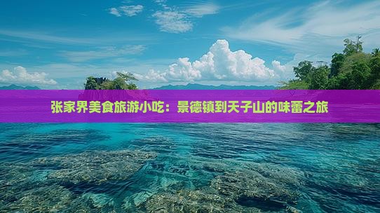 景德镇到张家界天子山旅游小吃