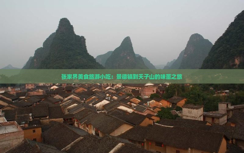 景德镇到张家界天子山旅游小吃