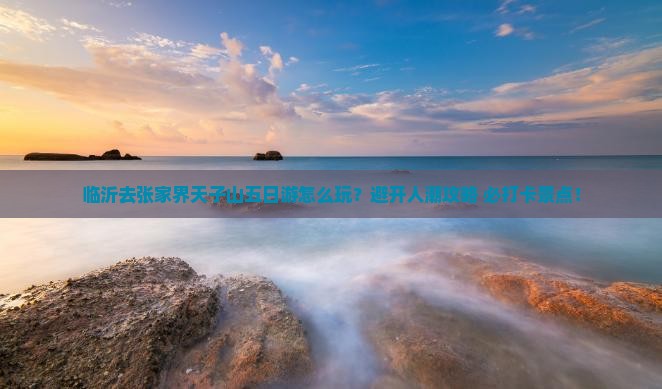 临沂去张家界天子山五日游