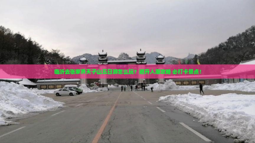 临沂去张家界天子山五日游