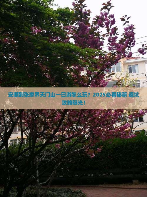 安顺到张家界天门山一日