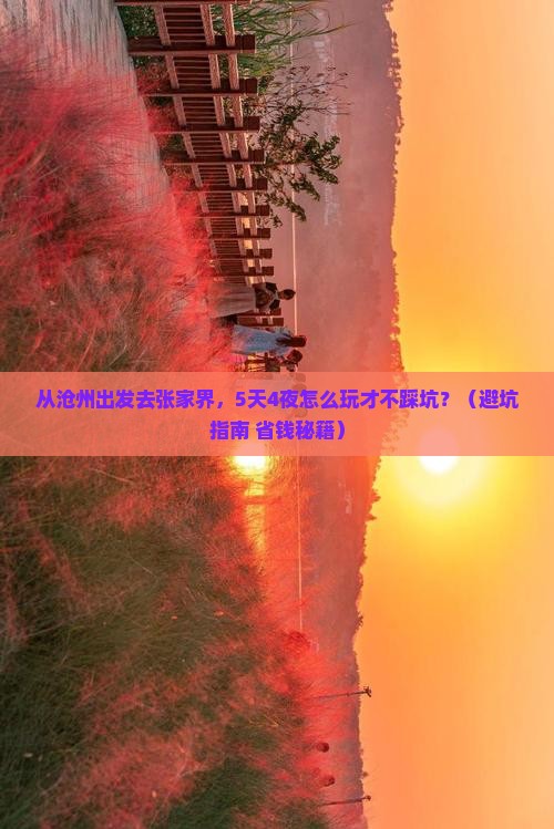 沧州去张家界个人游
