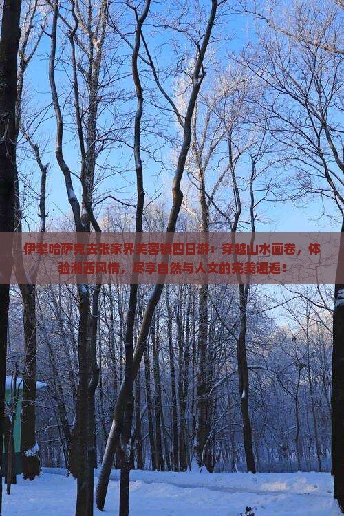 伊犁哈萨克去张家界芙蓉镇四日游