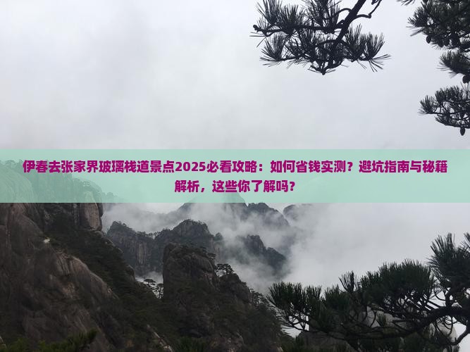 伊春去张家界玻璃栈道景点