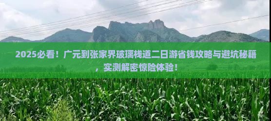 广元到张家界玻璃栈道二日游