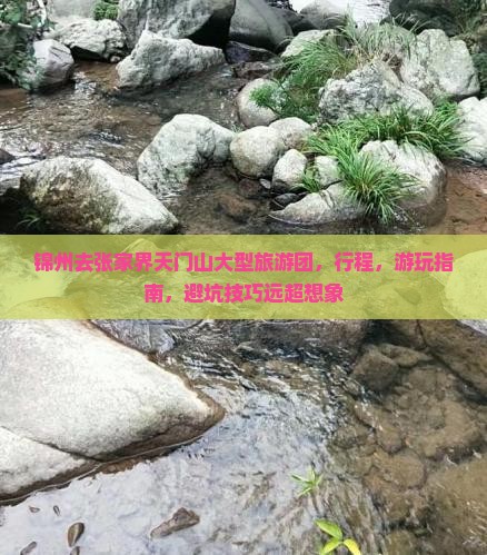 锦州去张家界天门山大型旅游团