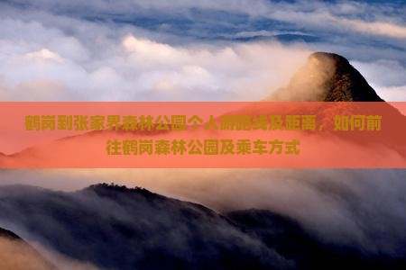 鹤岗到张家界森林公园个人游