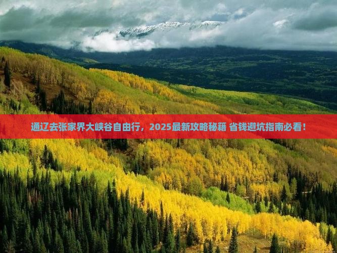 通辽市去张家界大峡谷自由行