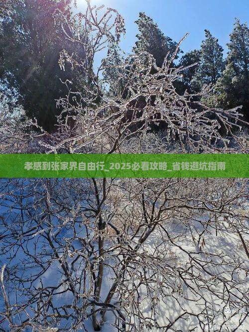 孝感到张家界自由行