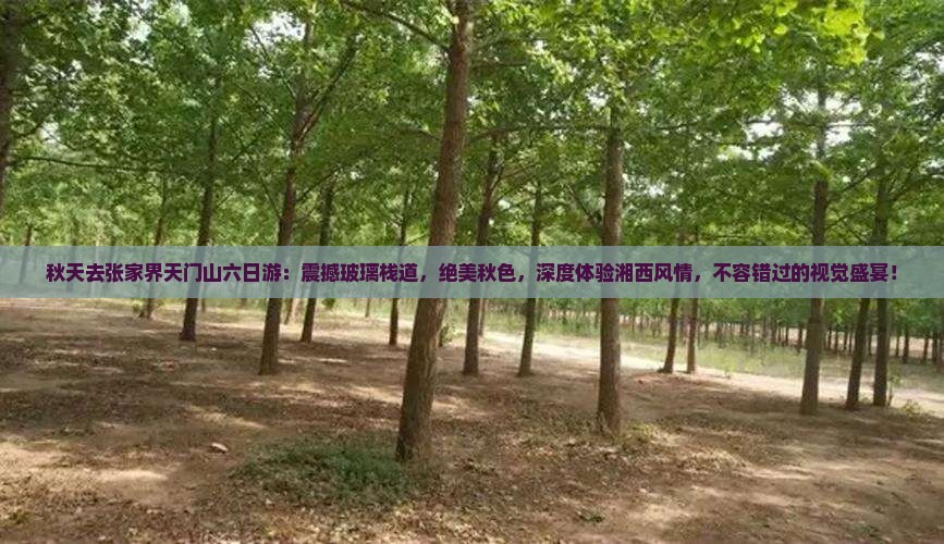 秋天去张家界天门山六日游