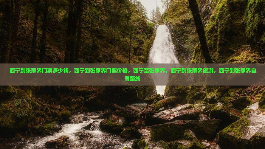 西宁到张家界门票