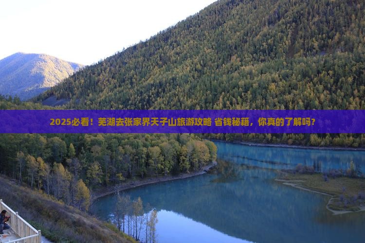 芜湖去张家界天子山旅行社