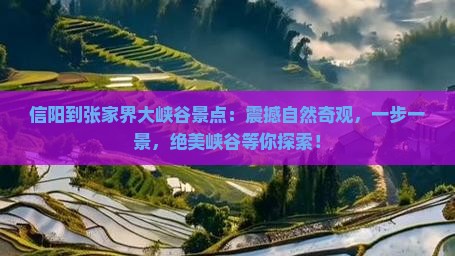信阳到张家界大峡谷景点