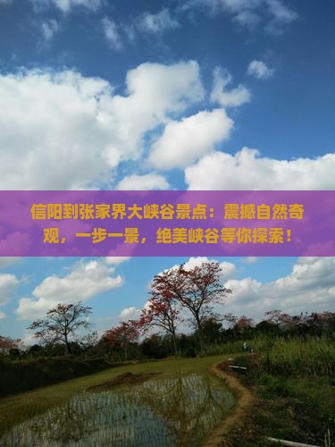 信阳到张家界大峡谷景点