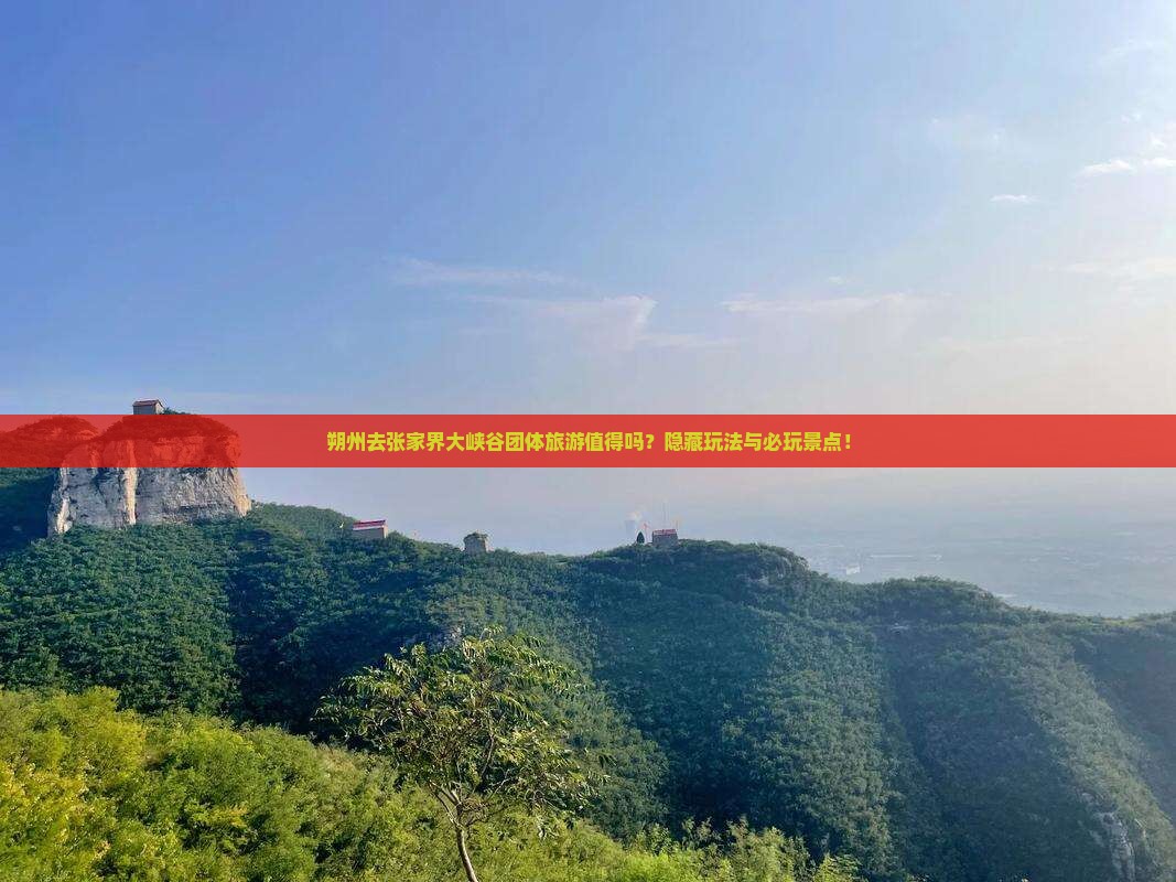 朔州去张家界大峡谷团体旅游