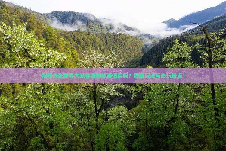 朔州去张家界大峡谷团体旅游