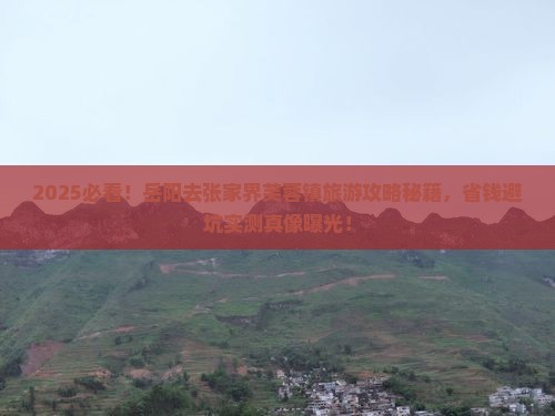 岳阳去张家界芙蓉镇旅游