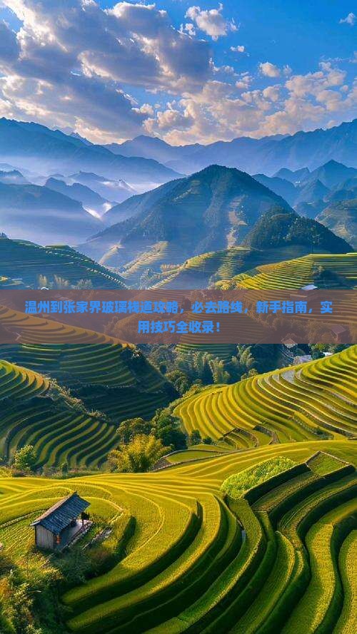 温州到张家界玻璃栈道攻略