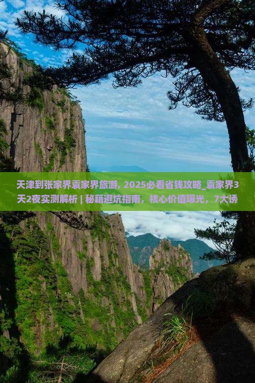 天津到张家界袁家界旅游
