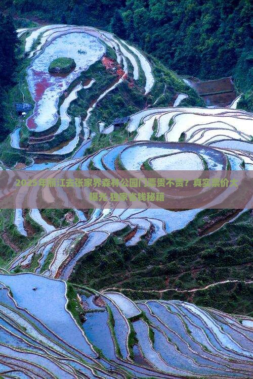 丽江去张家界森林公园门票