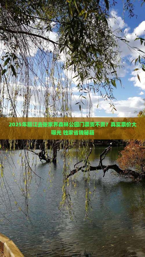 丽江去张家界森林公园门票