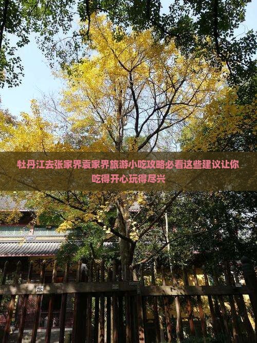 牡丹江去张家界袁家界旅游小吃
