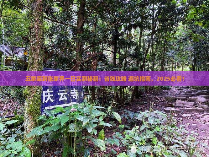 五家渠到张家界一日