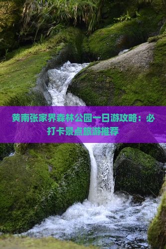 黄南去张家界森林公园一日