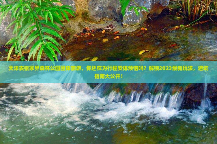 天津去张家界森林公园团体旅游 天津去张家界森林公园团体旅游