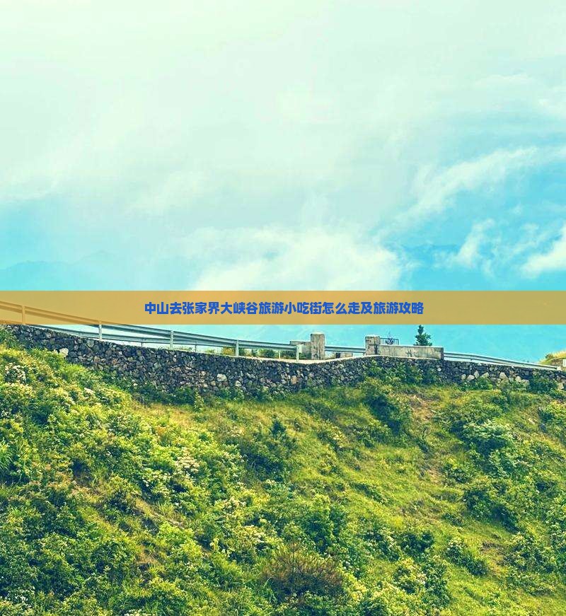 中山去张家界大峡谷旅游小吃