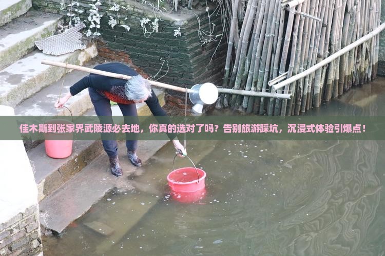 佳木斯到张家界武陵源必去地
