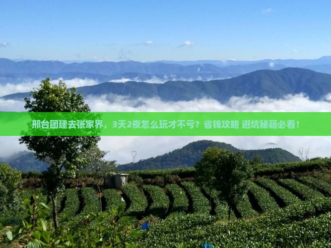 邢台去张家界团体旅游
