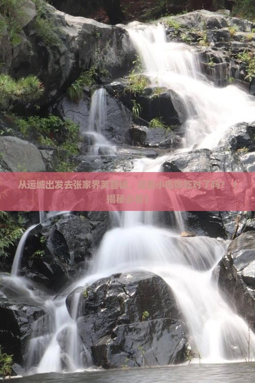 运城去张家界芙蓉镇旅游小吃