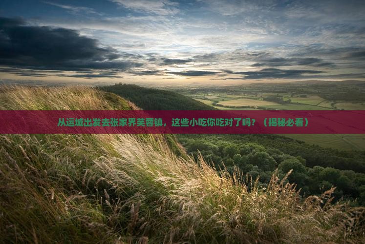 运城去张家界芙蓉镇旅游小吃
