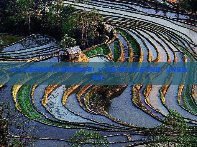三亚去张家界大型旅游团
