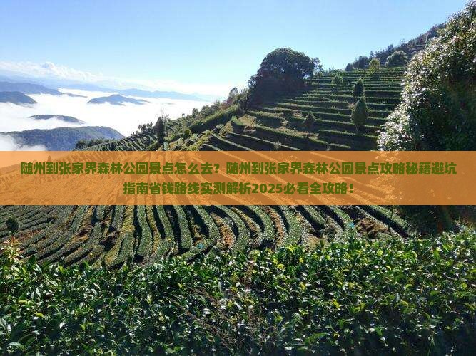 随州到张家界森林公园景点