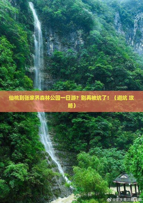 仙桃到张家界森林公园一日