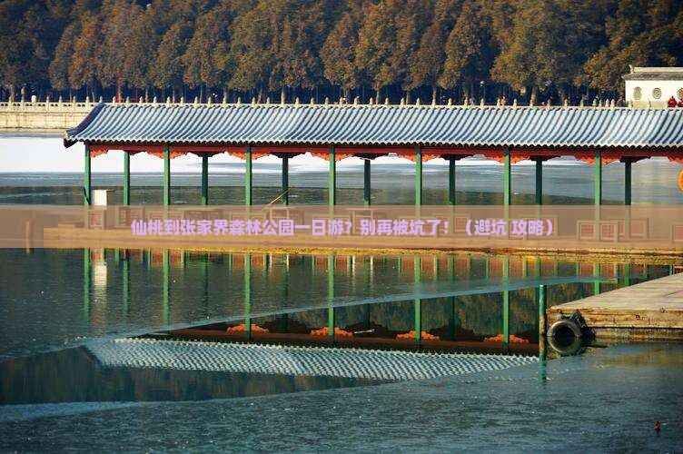 仙桃到张家界森林公园一日