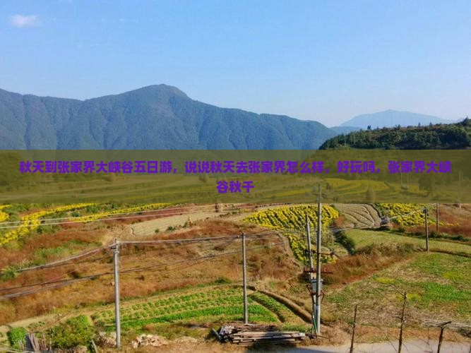秋天到张家界大峡谷五日游