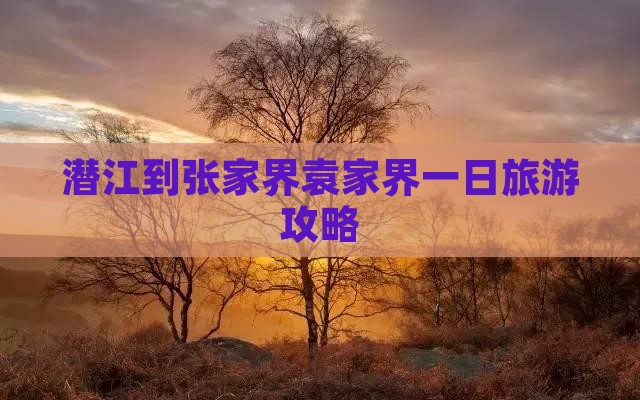 潜江到张家界袁家界一日