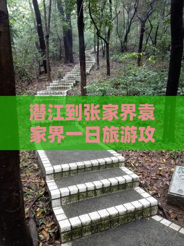 潜江到张家界袁家界一日