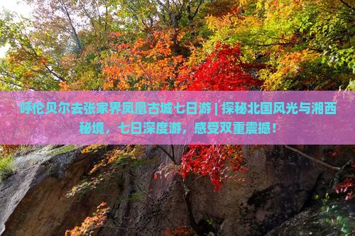 呼伦贝尔去张家界凤凰古城七日游